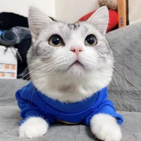 Smiling Face Sweatshirt for Cats & Puppies