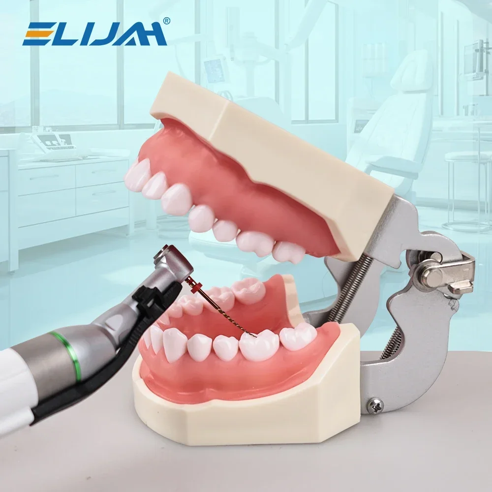 Dental Root Canal Files Set 5
