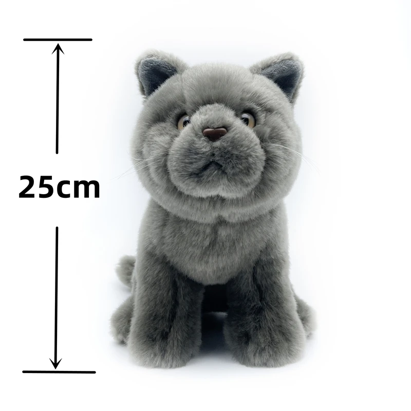 Realistic British Shorthair Cat High Fidelity Cute Plushie Felinae Plush Toys Lifelike Animals Simulation Stuffed Doll Kawai Toy 2