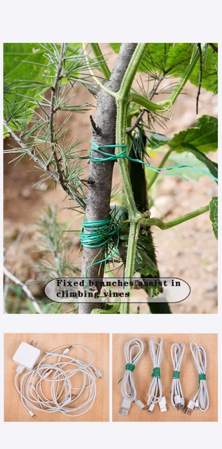 Twist Cravatta Per Pianta Di Giardinaggio Multiuso 50m Con Taglierina