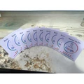 White 10PCS
