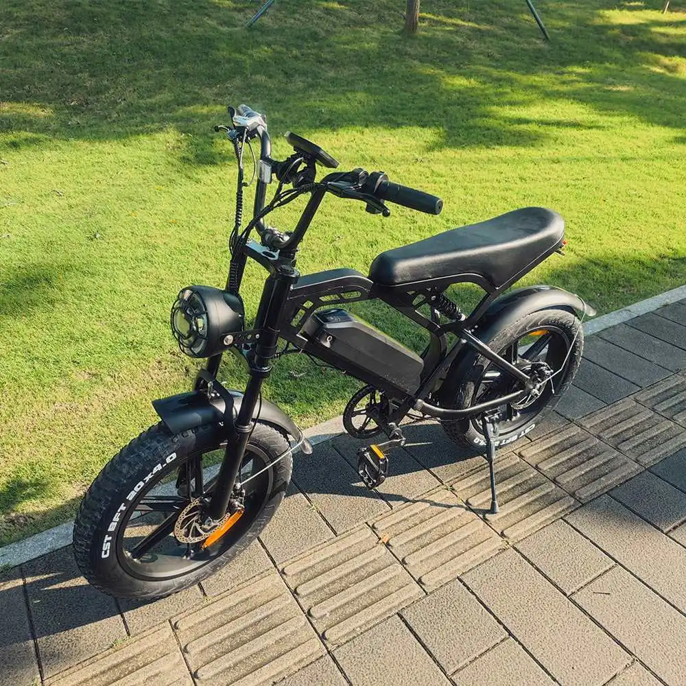 Buy Fasticycle Mountain Fatbike Fat Tire Ebike Eu Cheap 20inch Steel Lithium Battery LCD Displaycustom