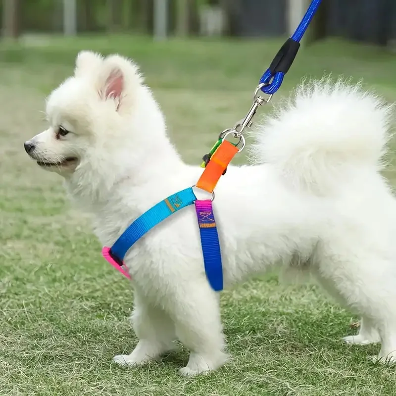 No-Pull Pet Harness and Leash Set for Small and Medium Dogs Cats for Outdoor Walking Training dog harness