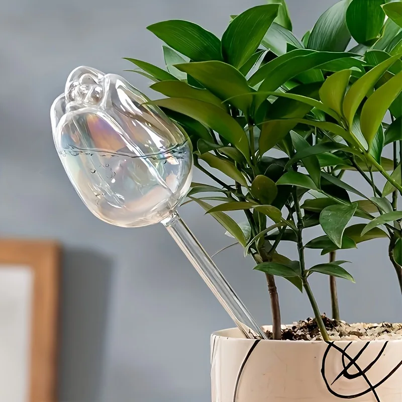 Tulip Glass Self-Watering Plant Globes - Automatic Slow-Release System