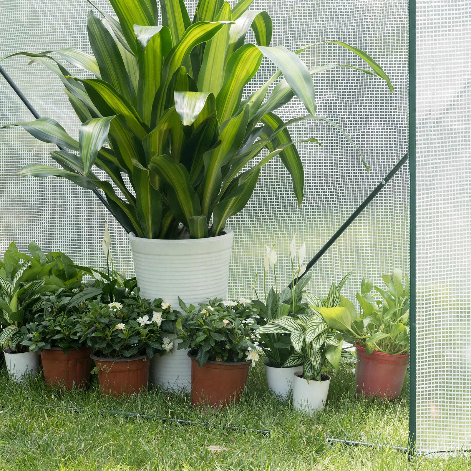 WOLTU Polyethylen-Gewächshaus, PE, halbtransparent, für Blumen, Gemüse, Garten, im Freien, wasserdichte Plane, Mehrzweck-Pflanzenhaus – Detail 15