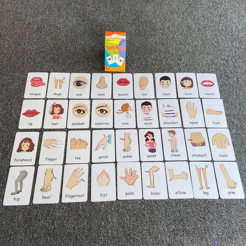 36pcs Children Cognition Cards Body Parts Animal Fruits Double Side Flashcards Montessori Baby Kids Early Educational Toys Gifts 2