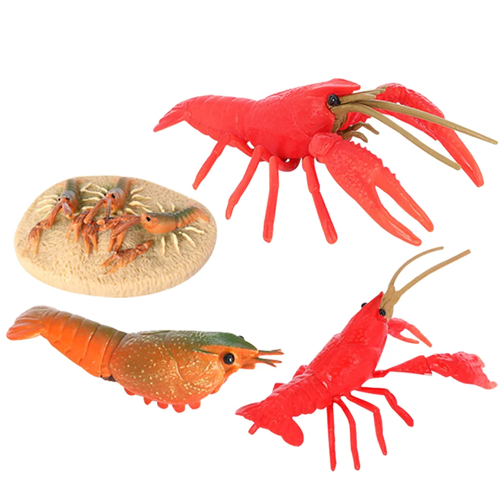 

Lobster Growth Cycle Kids Cognitive Playthings Childrens Childrens Toy Lifelike Crayfish Figurines Ocean