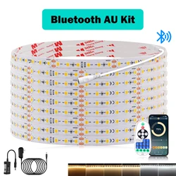 Premium Smart LED Strip Light Kit with TUYA WIFI and Bluetooth Connectivity | Flexible Home Lighting Solution with Adjustable Color Temperatures (24V 3000K)