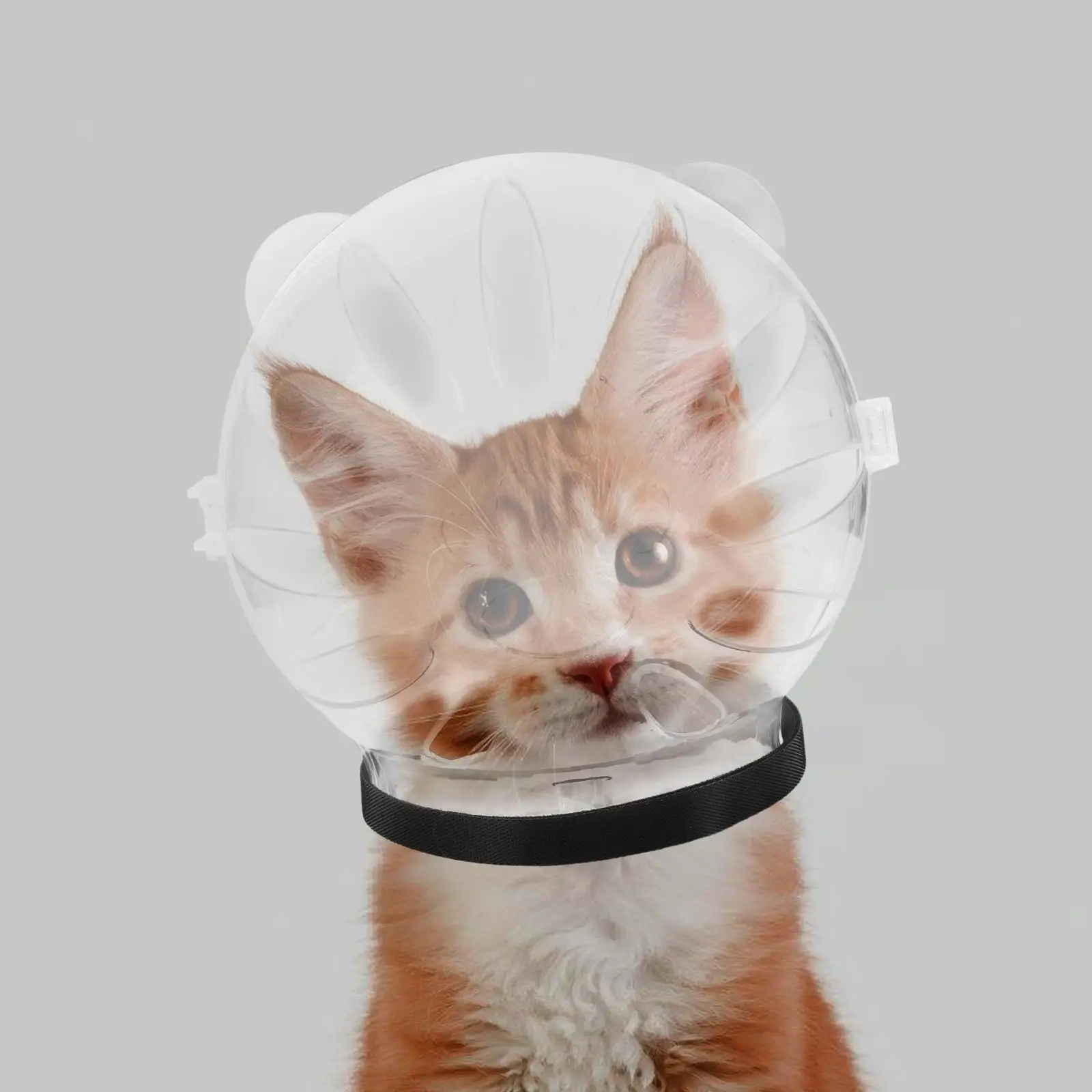 Cat Hood Hairdressing for Grooming Mask Durable Recovery Dog after Surgery Abs Kitten Breathable Bathing