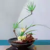Flower Frog Japanese Ikebana Set Desktop Ceramic Bowl Vase with Kenzan Needle Flower Arrangement Holder for Living Room Bedroom 1