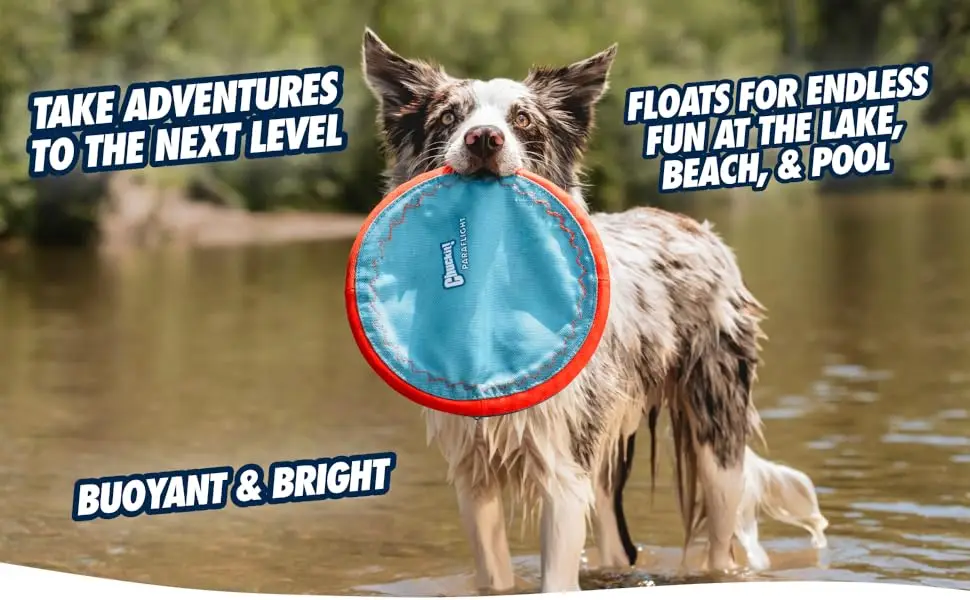  Image of dog carrying flying disc in mouth with text reading take adventures to the next level.