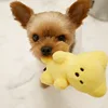 Cute Small Dog Squeaky Toys for Small Dogs Puppy Bear Shaped Squeak Toy for Cat Dogs Pet Supplies Pomeranian Teddy Shih Tzu Pug 6