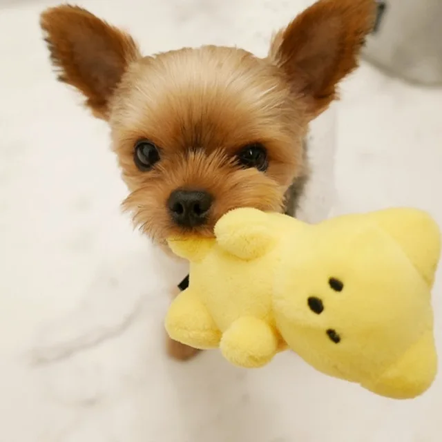 Cute Small Dog Squeaky Toys for Small Dogs Puppy Bear Shaped Squeak Toy for Cat Dogs Pet Supplies Pomeranian Teddy Shih Tzu Pug 6