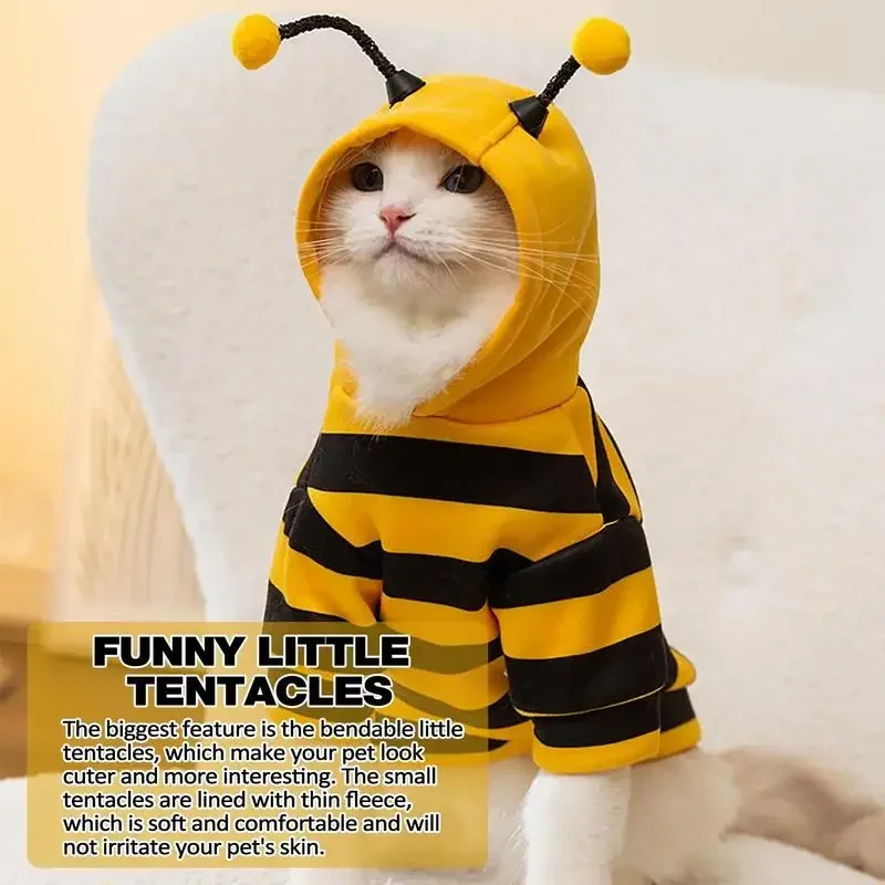 Cat Bee Halloween Costume 2