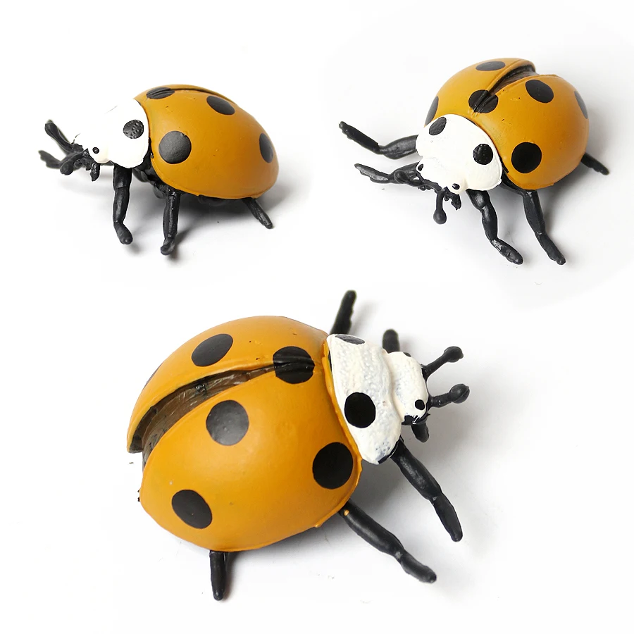 Realistic Insect Figurine Set - Educational Toy Collection