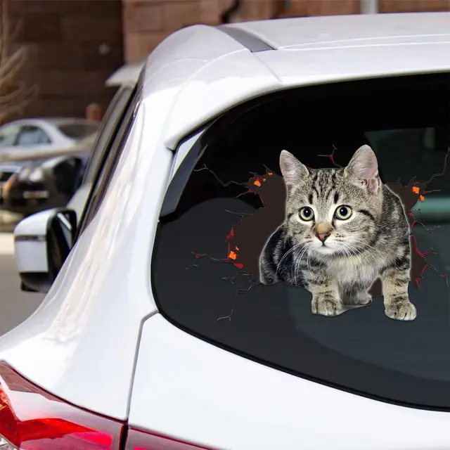 Autocollant Voiture Chat - Déco Amovible Pour Capot, Vitre, Carrosserie - Facile à Poser Et à Retirer - 4