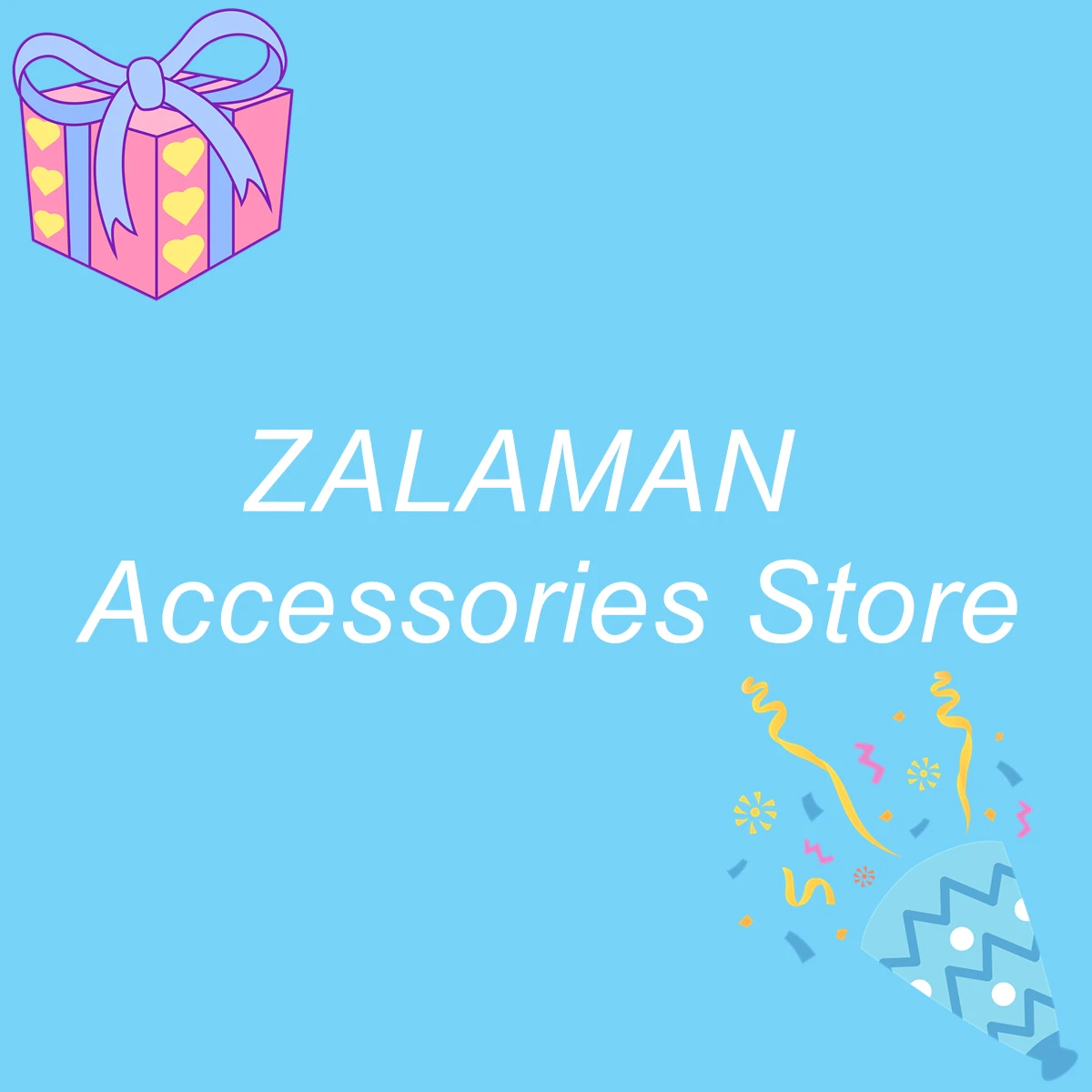 ZALAMAN Store