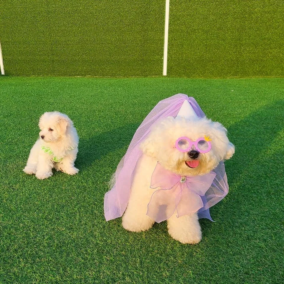  (29).jpg