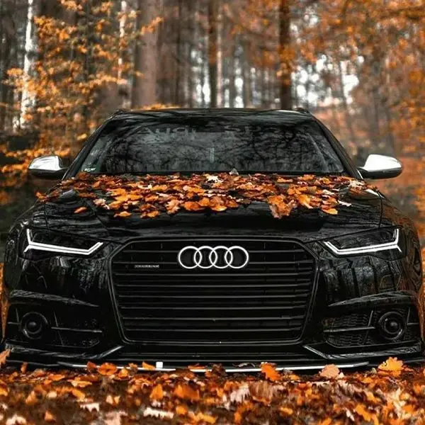 Shop1103857797 Store