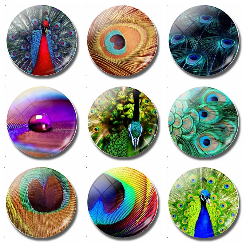 

Peacock Feather 30MM Fridge Magnet Peacock Peafowl Pavonini Glass Dome Magnetic Refrigerator Sticker Note Holder Home Decoration