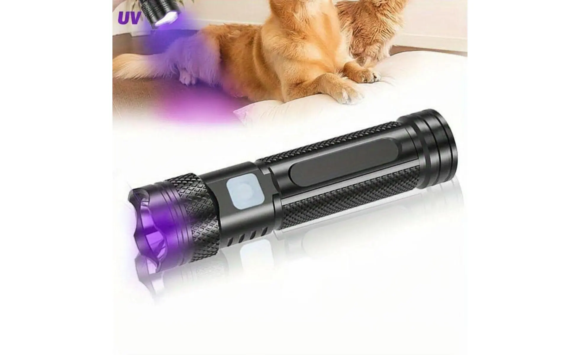 365nm Blacklight Torch Multi-Functional 365nm Flashlight Flashlight Multifunctional Mini Blacklight Torch for Collectors