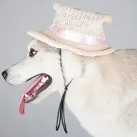 Pet Fashion Sun Cap Woven Straw Hat for Schnauzer Teddy Dog – Beach Party Costume