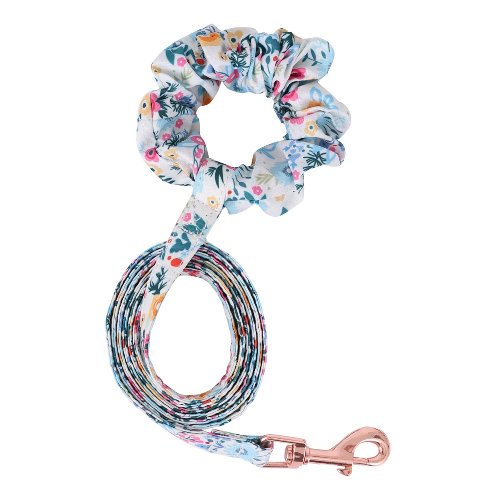 Blue leash