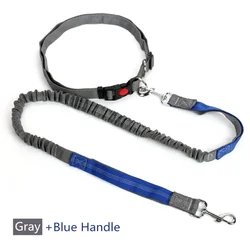 Hands - Free Retractable Dog Leash with Adjustable Waist Rope (01)