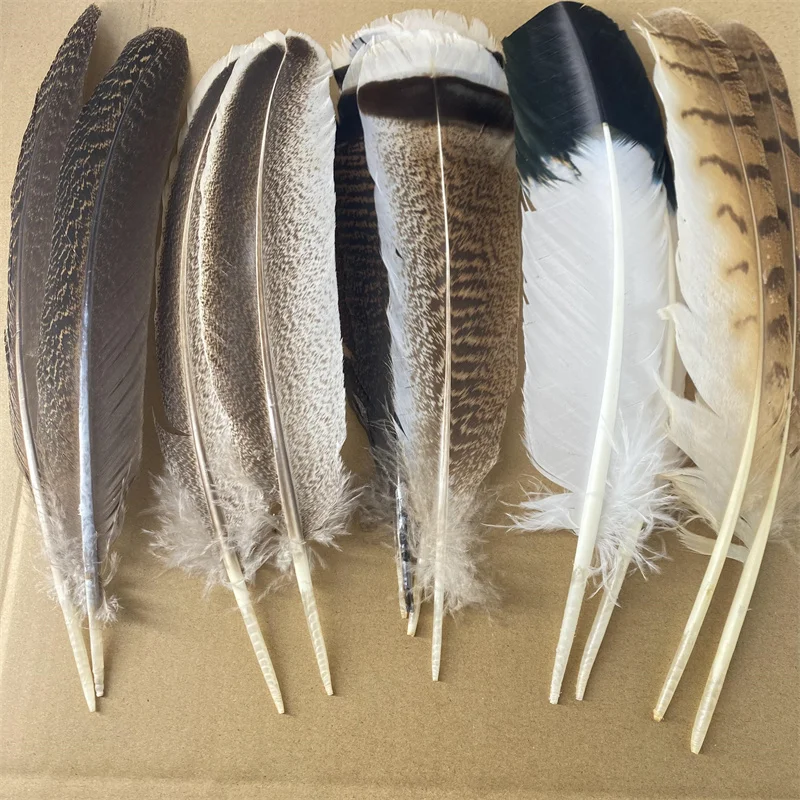 

10Pcs Pheasant Feathers Plume Headdress Accessories Holiday Decoration Carnival Eagle Feathers for Crafts DIY Handicraft Decor