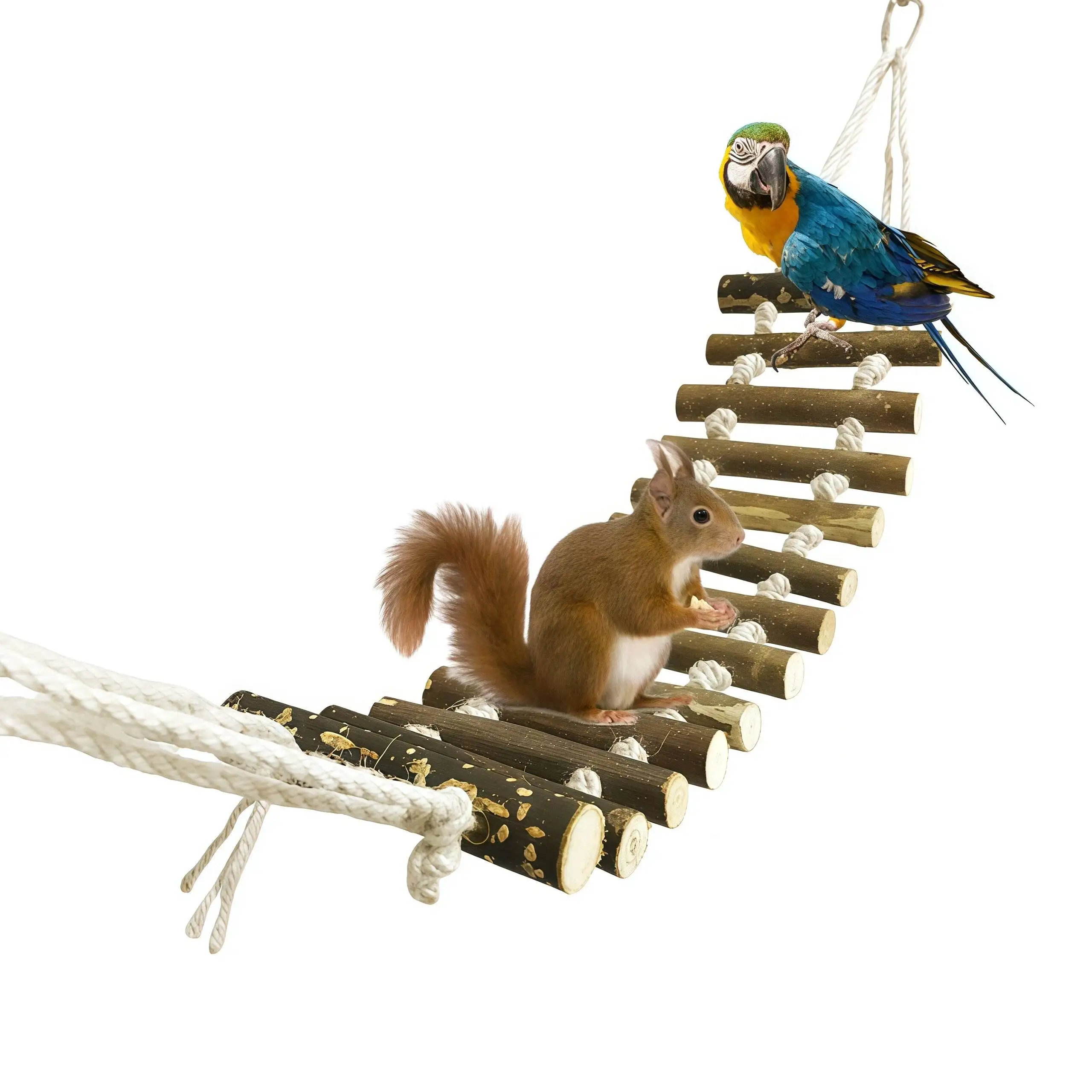 Bird Cage Ladder Parrot Bridge Made of Natural Wood and Rope for Small ... - Parrot Enclosure With Ladder And Rope