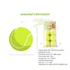 1pc Pet Dog Bite Ball Toys For Small Dogs Rubber Chew Puppy Toy Dog Stuff Dogs Toys Pets Tennis Launcher Small Ball 2