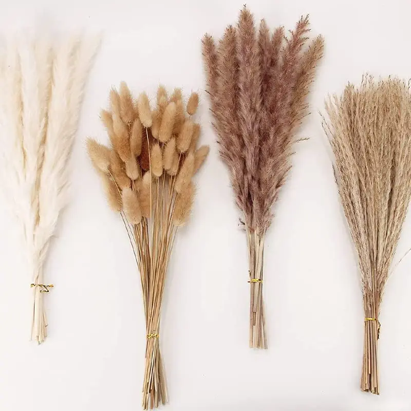 

Natural Pampas Grass Bouquet Dried Flowers Pampas Secas Grandes Fleurs Sechees Droogbloemen Home Boho Decor Wedding Decoration