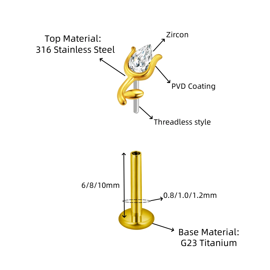 dsc-products