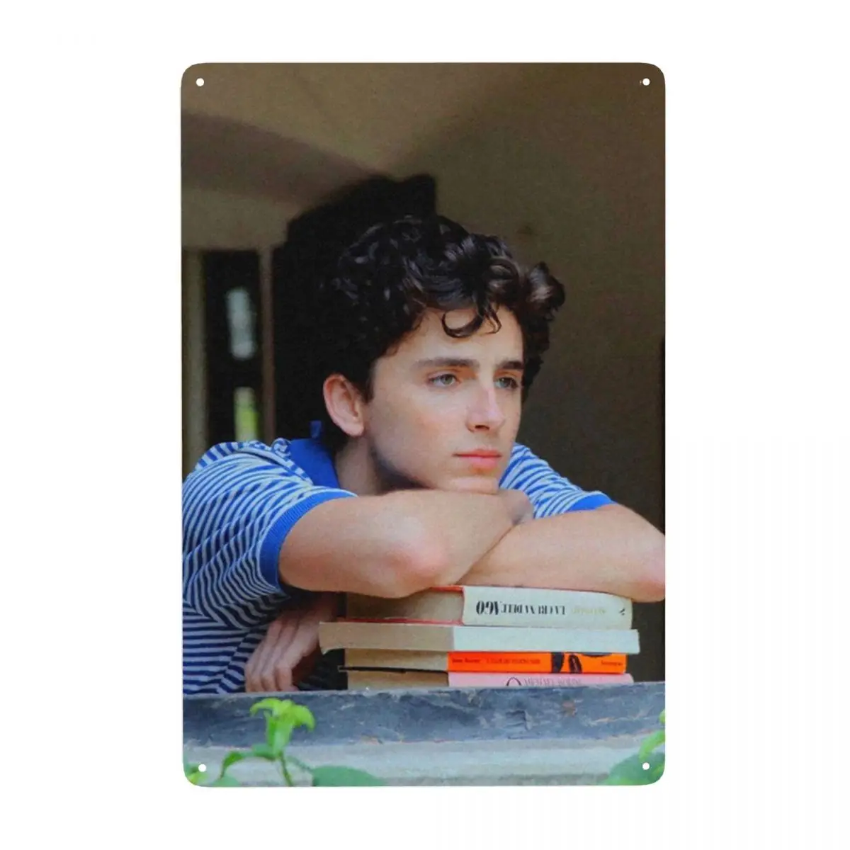 Timothee Chalamet Elio Perlman Cmbyn Metal Tin Sign Placche Retrò Personalizzate Per Cancello Garden Yard Man Cave Bar Wall Art Decor