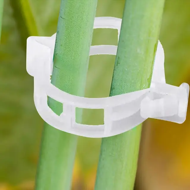 Ew Növényi Klipek Műanyag Szőlőbilincsek Támogató A Rácsos Zöldség Hegymászásához, Hogy Egyenesen Vagy Leesjenek, És Egészségesebbé Váljanak - Image 4