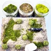 Original DIY handmade 5mm model static grass microlandscape scene model material Modeling Hobby Craft Accessory 3