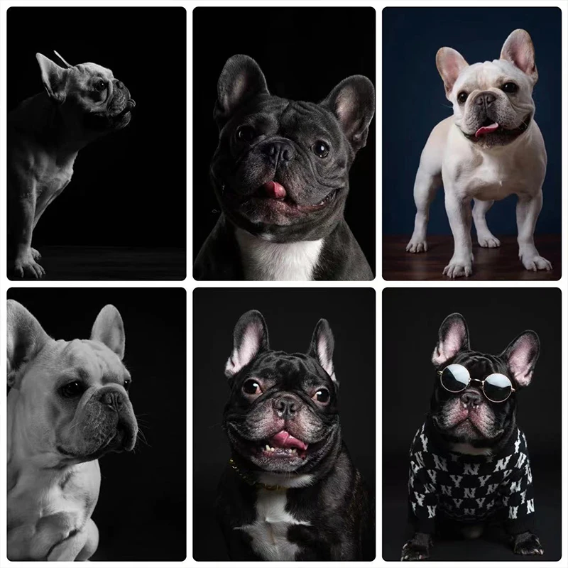 Wywqn 5D Diy Diamant Peinture Kit Bouledogue Français Noir