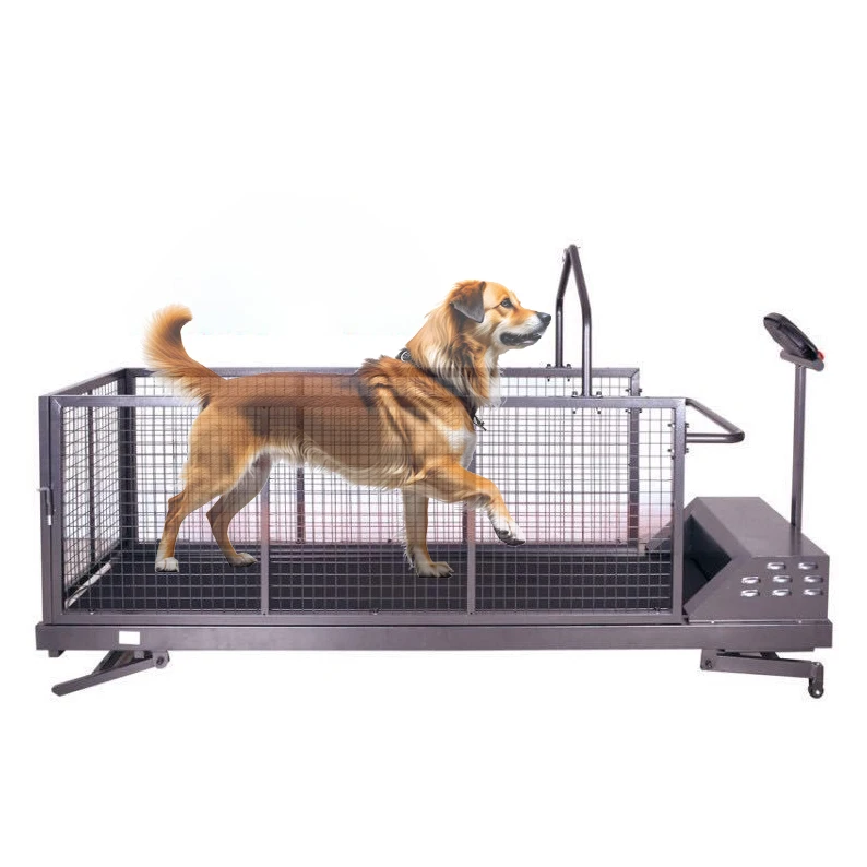 Hot Sale Pet Walking Electric Treadmill For Dog Training Adjustable Front Rear Lifting Incline Running Machine