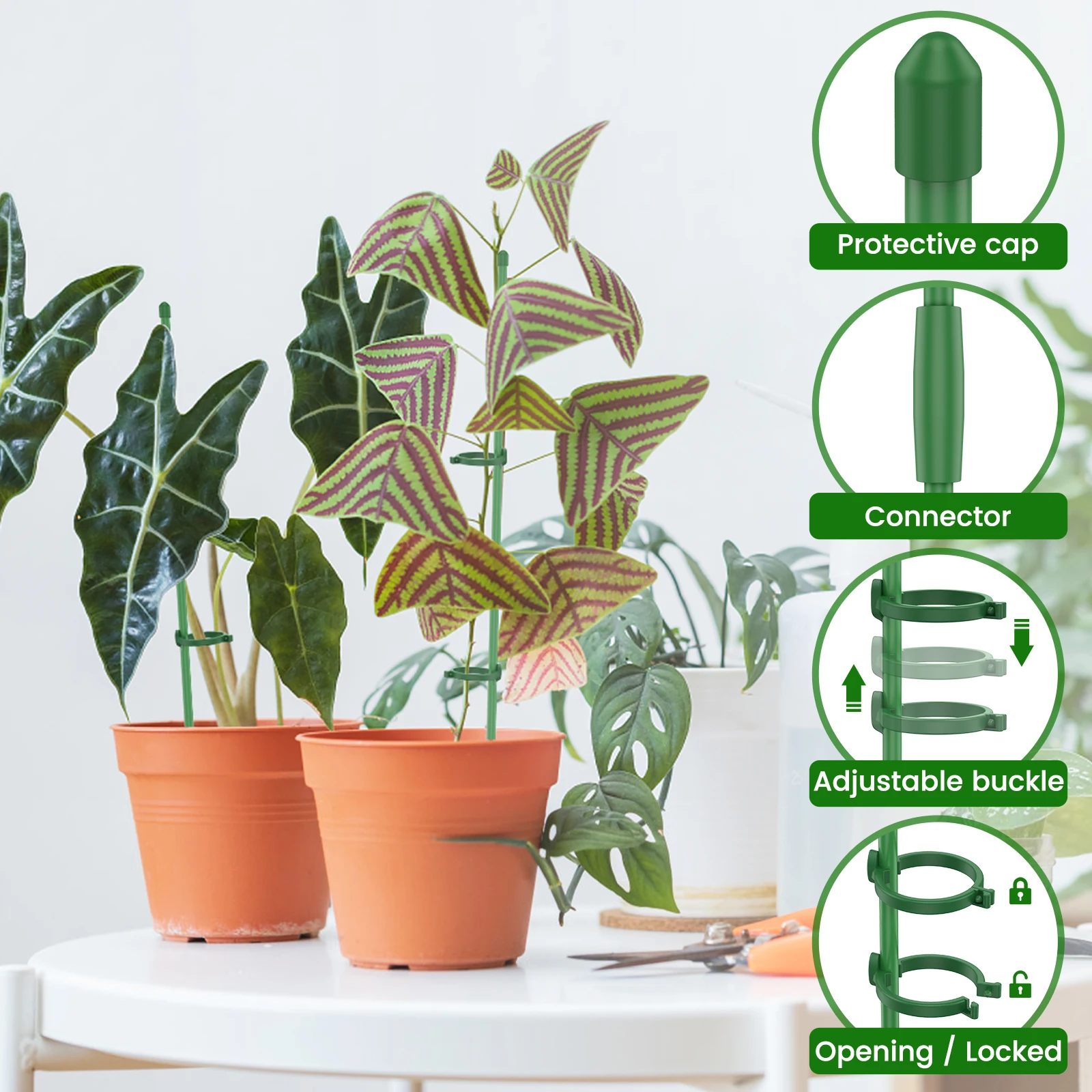 Plant Support Stakes Adjustable Single Stemmed Plant Support Hoops with Ring Garden Single Stem Amaryllis Plant Stake for Indoor