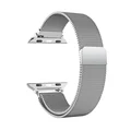 Silver 1