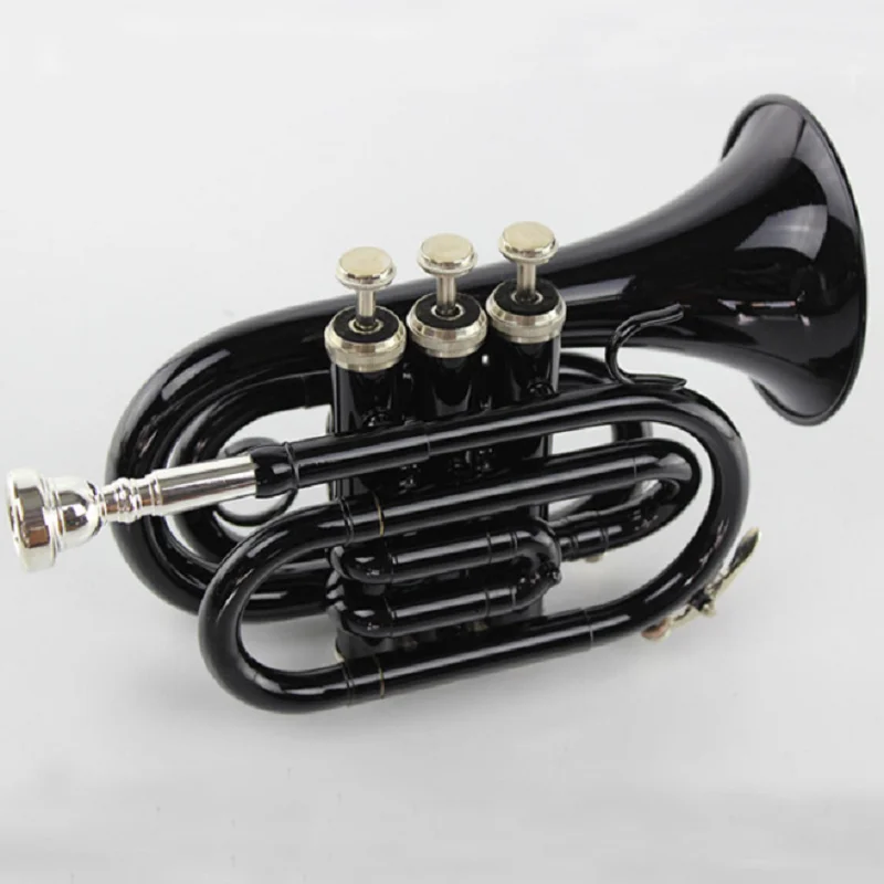 Beginner Western Wind Instrument, B Flat Pocket, Black Palm Instrument