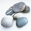 Throw Pillow with Filler Simulated Pebble Stone Pillow Soft Cushion for Movie Props Kids Game Toy Doll Children Room Decoration 1