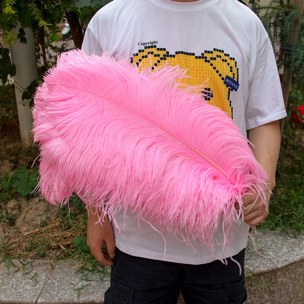 Ostrich Feather Tail Plumes 15-18 (Baby Pink)