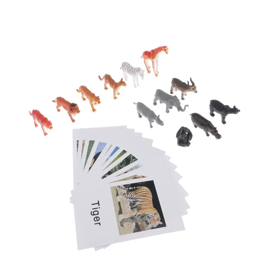 

Education Toy Group Model Toys & Games/Learning /Flash Cards