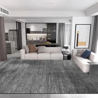 Light Luxury Minimalism Large Living Room Carpet Solid Color Home Decoration Bedroom Rug 200x300 Grey Soft Non-slip Floor Mats 1