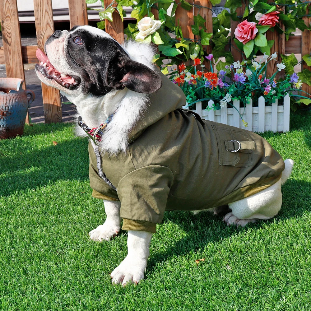 francês roupas casacos para pequenos cães médios