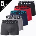 5pcs-yzt-cy