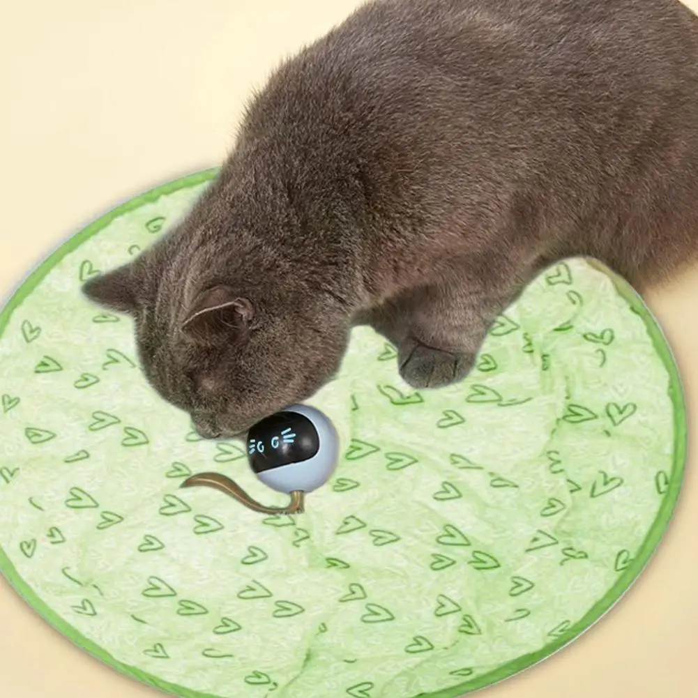 Title 4, Interactive Automatic Cat Toys Electric Motion ...
