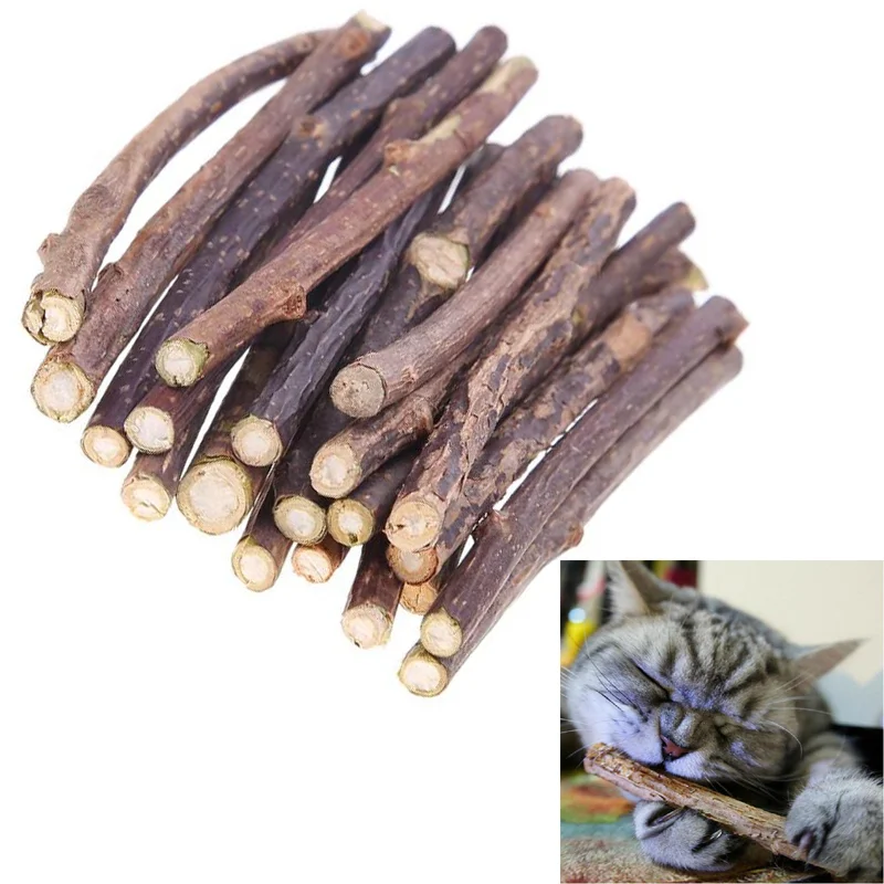 15/20pcs Catnip Pet Cat Molar Toothpaste Stick Natural Matatabi Fruit Silvervine Cat Toy Snacks Sticks Pet Cleaning Teeth