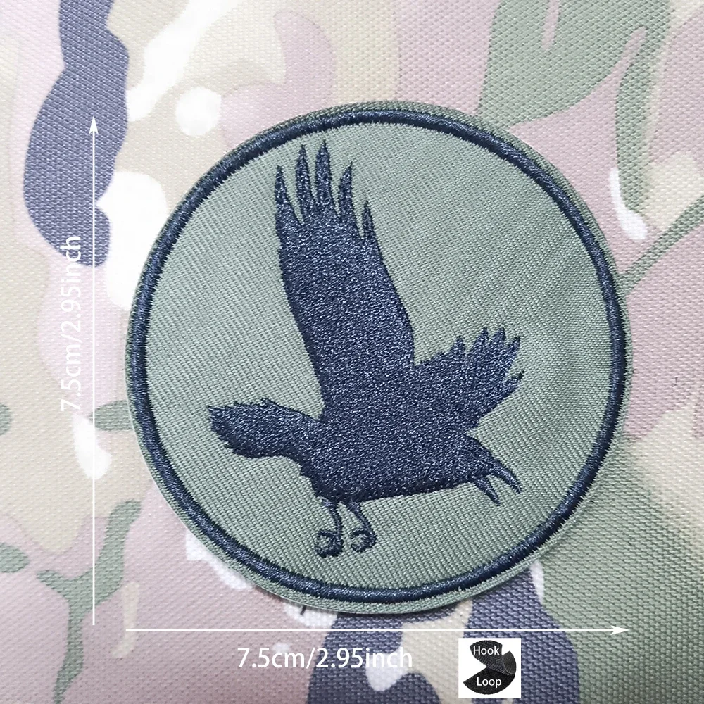 이스라엘 육군 녹색 독수리 배지가 있는 가방 전체 자수 티라노사우루스 렉스와 디어울프 의류용 후크 루프 패치